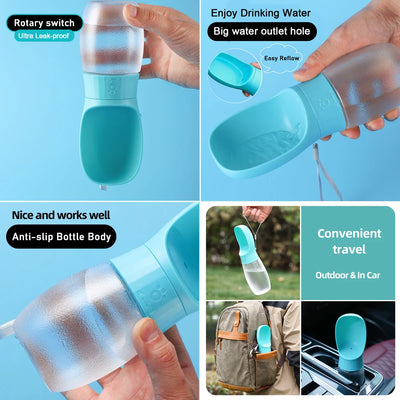 Ricardo, Aveiro