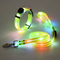 Coleira para Cão com Luz LED Recarregável USB – PVC Macio, Impermeável e Segura