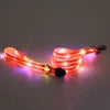 Coleira para Cão com Luz LED Recarregável USB – PVC Macio, Impermeável e Segura