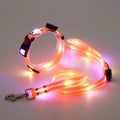 Coleira para Cão com Luz LED Recarregável USB – PVC Macio, Impermeável e Segura