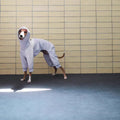 Casaco de Inverno para Greyhound e Whippet – Impermeável, Corta-Vento e 4 Patas