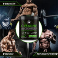Creatina Monohidratada Beworths – Treino, Força Muscular e Energia Celular