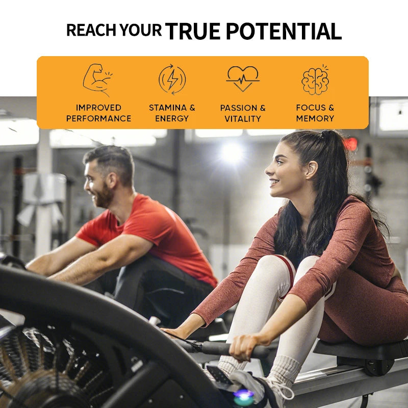 Suplementos para o aumento da potência masculina - aumentar a energia, a resistência e o desempenho com vitalidade, ginseng natural + ginkgo biloba.