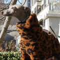 Brown fleece leopard coat for mid big cãos four-leg warm pink sweatshirt for greyhounds winter thick blue pajamas for whippet