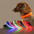 Guia LED Fluorescente para Cães – Segurança Noturna com Nylon Resistente