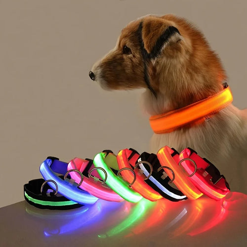 Guia LED Fluorescente para Cães – Segurança Noturna com Nylon Resistente