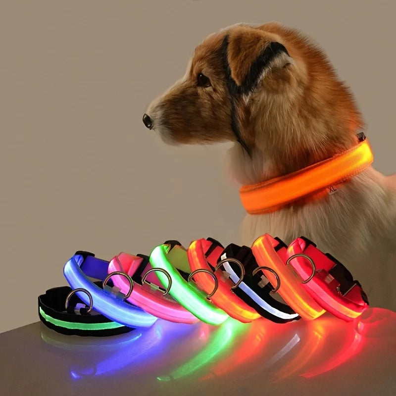 Guia LED Fluorescente para Cães – Segurança Noturna com Nylon Resistente