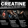 Monohidrato de Creatina – Desempenho, Crescimento Muscular e Recuperação