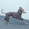 Casaco de Inverno para Greyhound e Whippet – Impermeável, Corta-Vento e 4 Patas