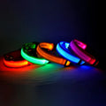 Guia LED Fluorescente para Cães – Segurança Noturna com Nylon Resistente