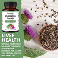 Suplemento para Colesterol – Circulação Sanguínea, Saúde Cardiovascular e Imunidade