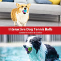 Conjunto Ouzey 4 Bolas de Ténis com Apito – Resistentes a Mordidas para Cães Pequenos e Médios