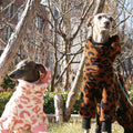 Brown fleece leopard coat for mid big cãos four-leg warm pink sweatshirt for greyhounds winter thick blue pajamas for whippet