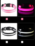 Guia LED Fluorescente para Cães – Segurança Noturna com Nylon Resistente