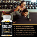 Monohidrato de Creatina – Desempenho, Crescimento Muscular e Recuperação