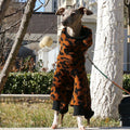 Brown fleece leopard coat for mid big cãos four-leg warm pink sweatshirt for greyhounds winter thick blue pajamas for whippet