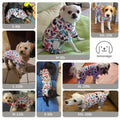 Macacão Elástico para Cão – Roupa Confortável para Casa e Descanso